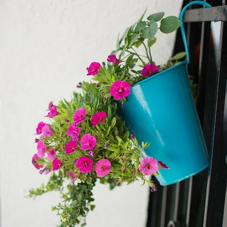 Aranykagylo 36 בית נופש