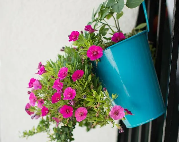 Aranykagylo 36 Дом отдыха