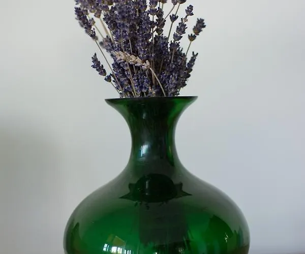 Дом отдыха Aranykagylo 36